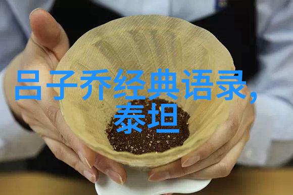 跨文化奇缘张艺谋与索菲亚柯波拉的电影梦想之旅