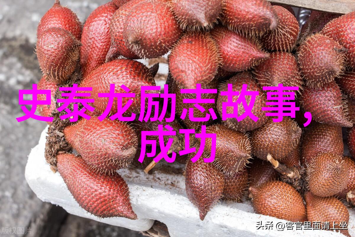 极品Y荡人生白柔柔揭秘她的魅力与诱惑