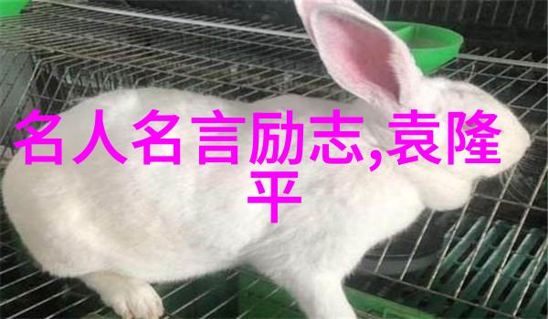 他爱不爱你只看这些细节十大经典爱情影片中的物品场景