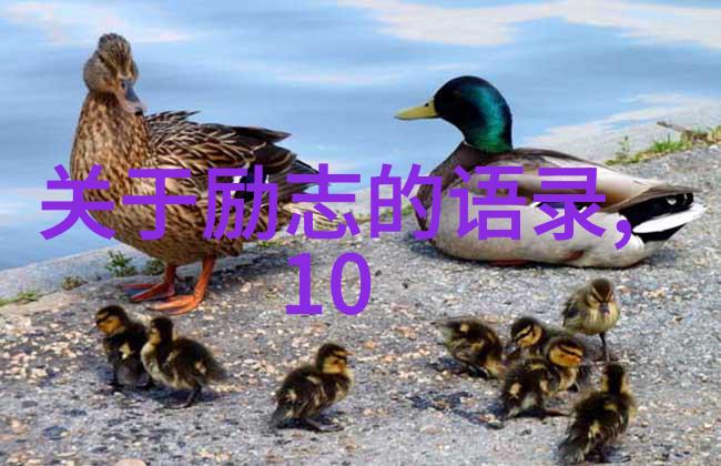 经典励志名言-李小龙不畏强敌自信是最强的力量