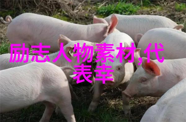 任正非从无名工人到华为巨擘的励志故事
