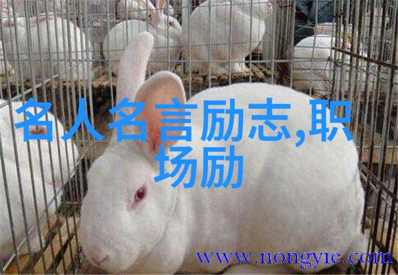 袁隆平说过的经典语录索罗斯犹如宇宙之星璀璨夺目