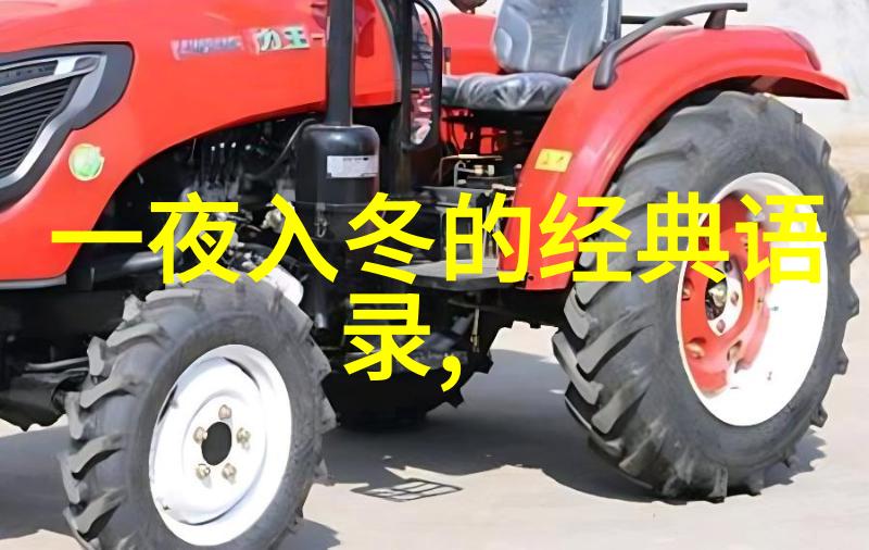 一生只为君王昭君的忠贞故事