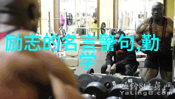 古代王朝中的隐世仙子传说 文化丰富浪漫主义的一夜