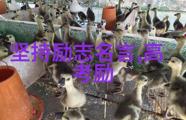 十个中国人的奋斗史为什么至今仍然激励着后代子孙