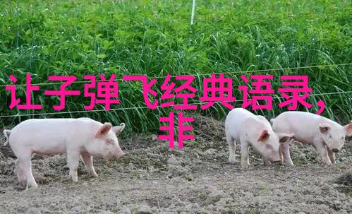 张艺谋导演人生回顾从影视艺术到文化传播者