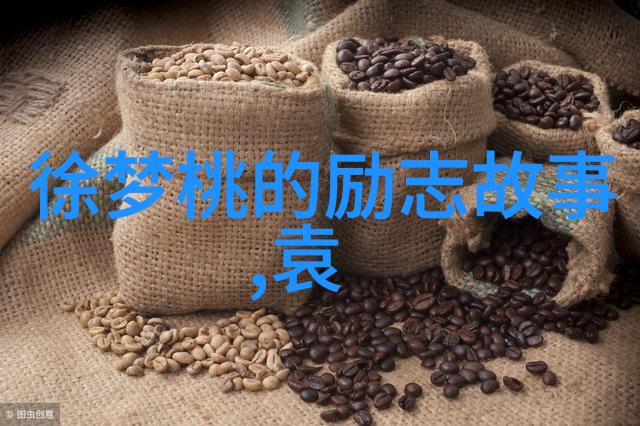 承袭的比喻儿子与妈妈的无声传承