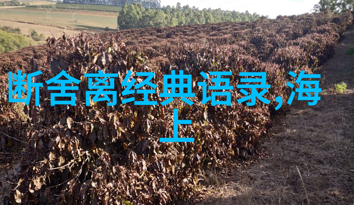 主题我眼中的中国十大正能量明星他们的故事你一定要听