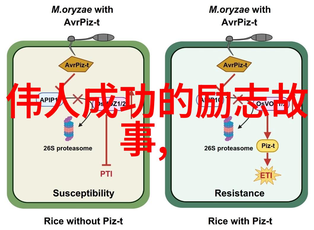 励志故事-不见风雨哪知归舟一位聋哑人士的逆袭之旅
