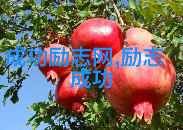 90后偶像从小鲜肉到大咖逆袭路上有多坎坷