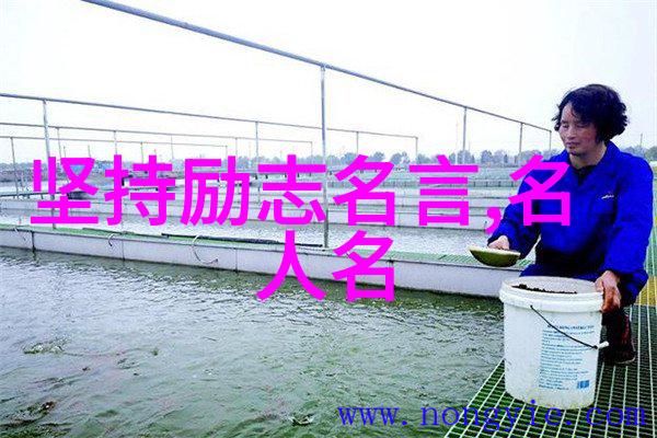 追梦者那些永不言弃的灵感之源