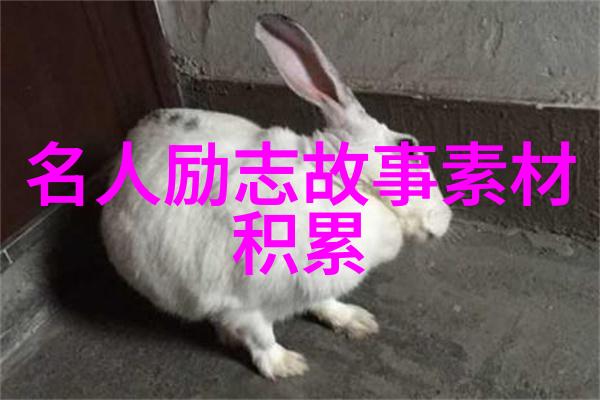 深情的表白文案相信自己其实异地恋简直易如反掌