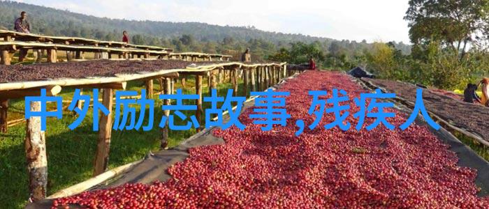 在现代社会引用哪些类型的非主流经典语录最能吸引年轻人的注意力