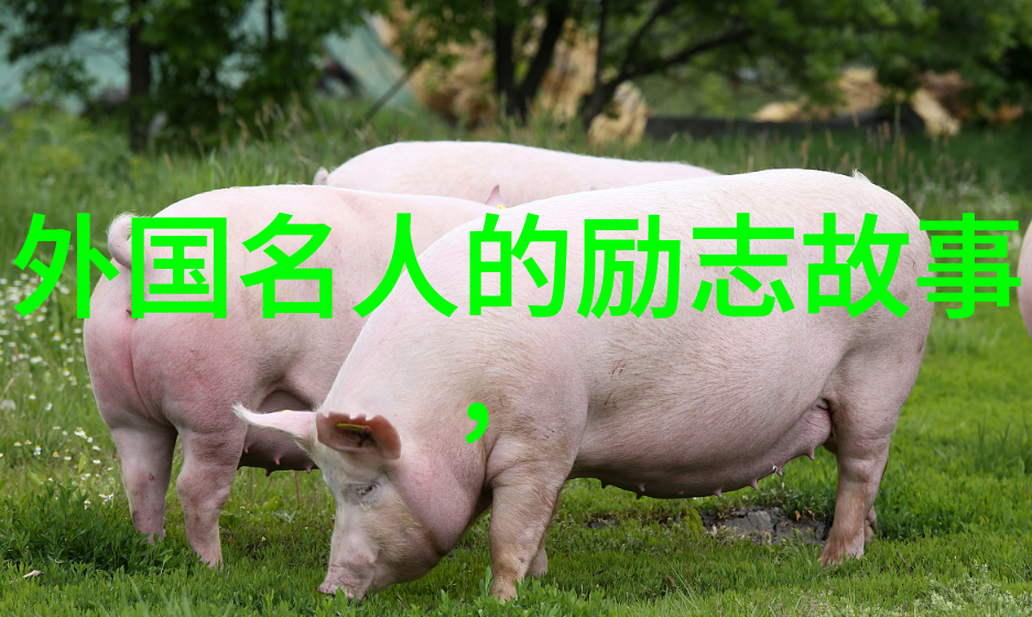 重温经典析读何以笙箫默中的代表性台词