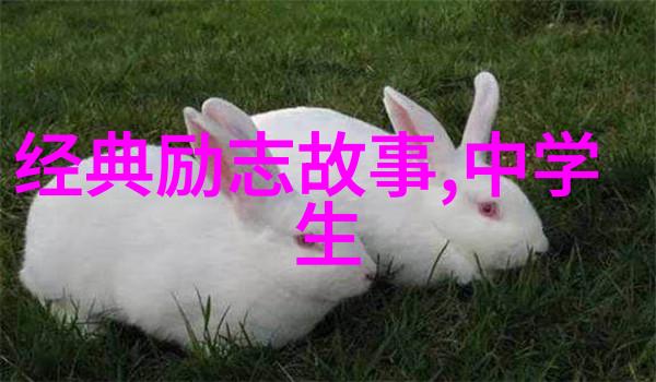 揭秘家庭暴力女儿身影腕豪背后的蒋劲夫伤害的阴影与救赎之光