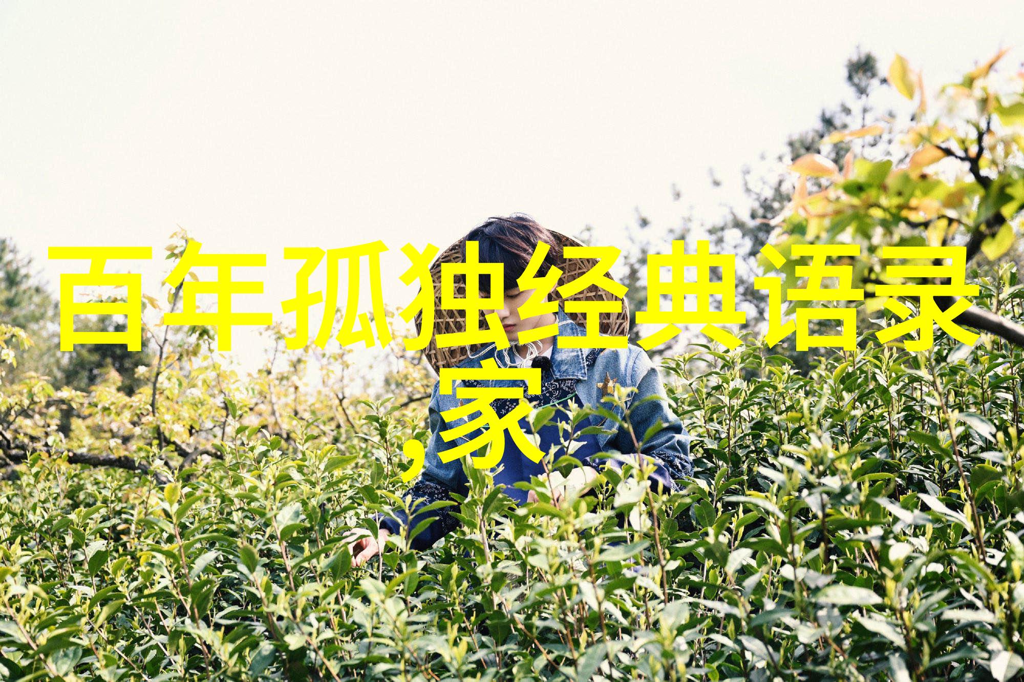 关于青春的名人故事我是如何在追逐梦想的路上找到自我的