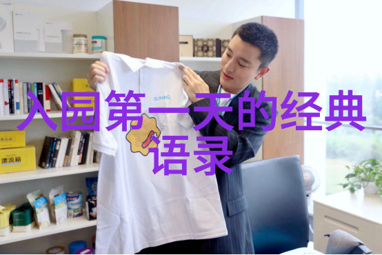 电视连续剧婆媳的战国时代揭秘和谐婆媳的策略大师
