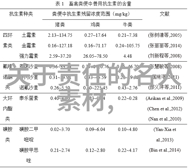 心境平和的智慧之光