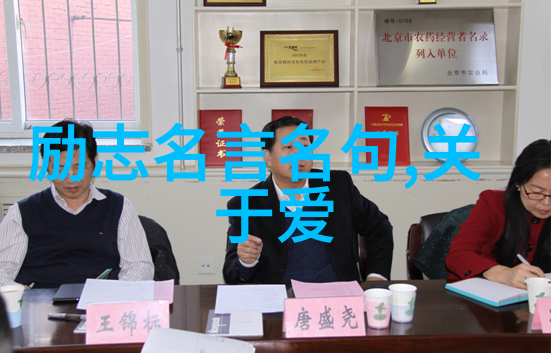 跨文化奇缘从英语角落到世界舞台的辉煌之旅
