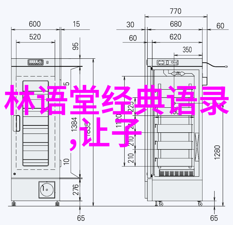 美食家中的女人有品味的饮食观