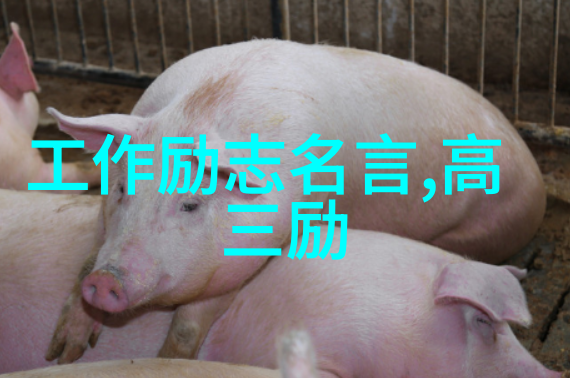 机器人与人类共舞一段跨界友谊的演绎者们