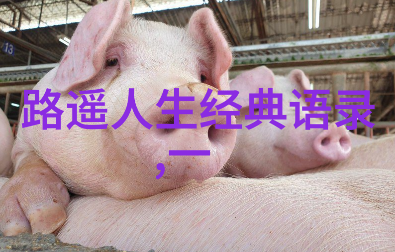 张爱玲语录经典语录 - 勇往直前李雷的文学梦