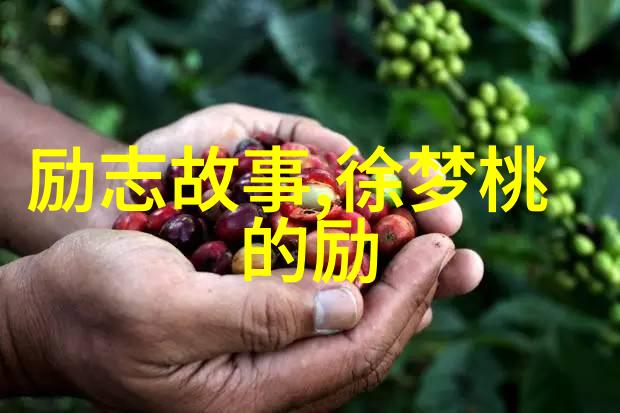 婆媳的战国时代电视剧全集播放让我们保持一碗汤的距离