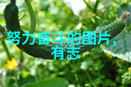 班花的兔子好软水好多好好吃-宠爱之旅班花的温驯兔子与其甘甜的秘密