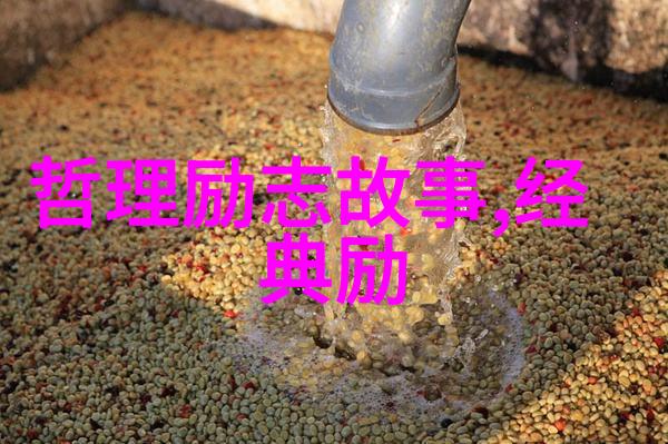 在社会的广阔画布上一段真正的友谊是这样炼就的它如同情感一样需要情投意合通过友情链接网相互支撑共同绘制