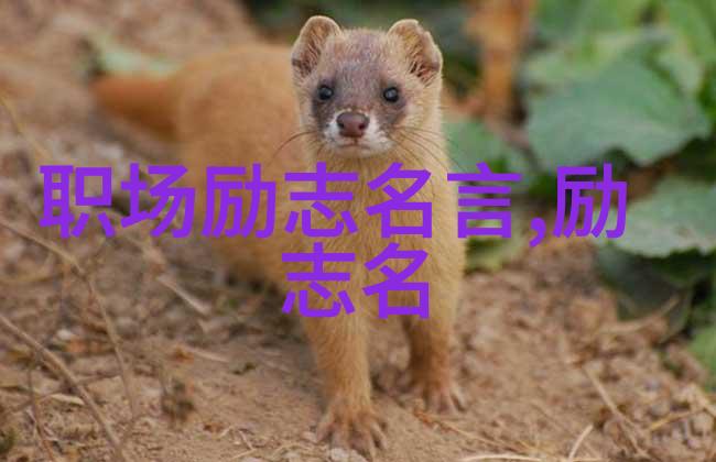 我们应该如何通过分享来传播更多的青春励志名言呢