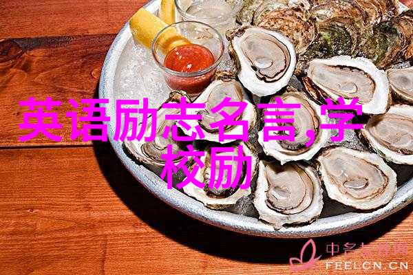 张爱玲的经典语录抒情文字与深刻洞察