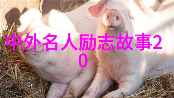 突破常规的摄影角度创造出能够激发灵感的励志人物照片
