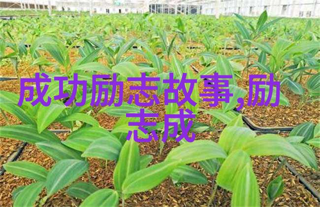 婆媳之间的和谐就像一碗温暖的汤保持适当的距离千万别跟老公说起与婆婆同住的事否则可能会让这份家风出现裂