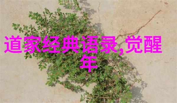 努力不懈的拼搏精神不断追求卓越的工作态度