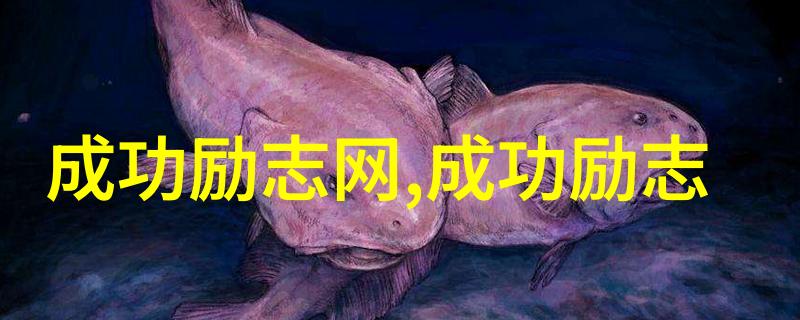 世界上最牛的女汉子她们如何让男人们都不得不起立致敬