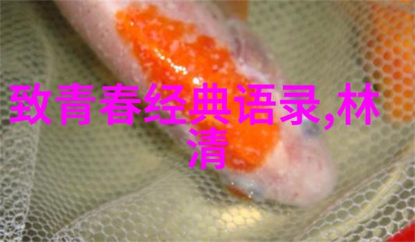 四月你好经典语录-春风拂面温暖回响四月的经典言辞