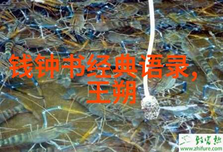 高三励志名言启航未来绘梦天际