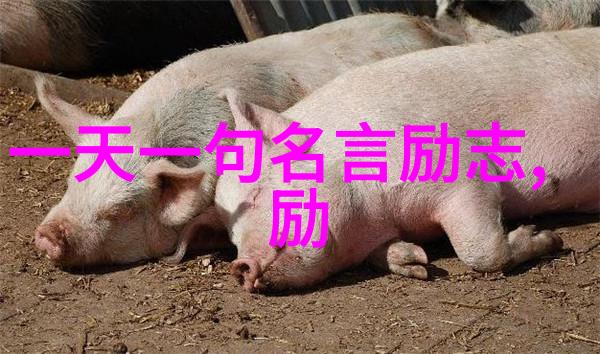 坚定的人生选择立志者的心理分析