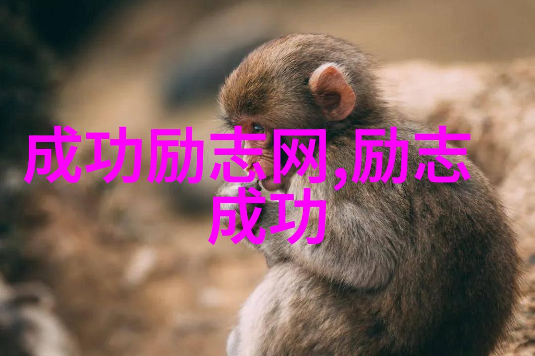 时光清浅租来的爱的回忆