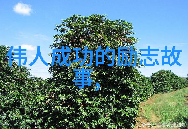探索传统智慧八五中药材网的文化与商业融合