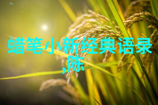 2022年正能量真人真事我亲眼见证的那场校园志愿者节目让人感动了