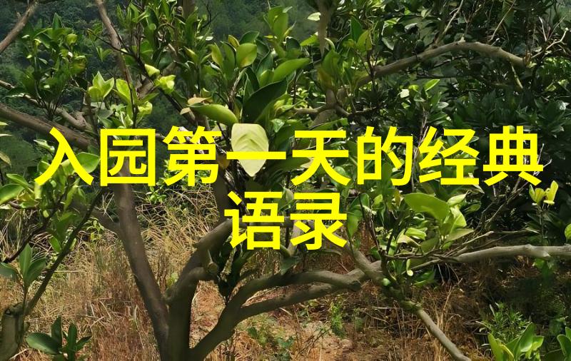 人生励志名言-奥斯卡王尔德的光辉篇章追逐梦想的不懈努力