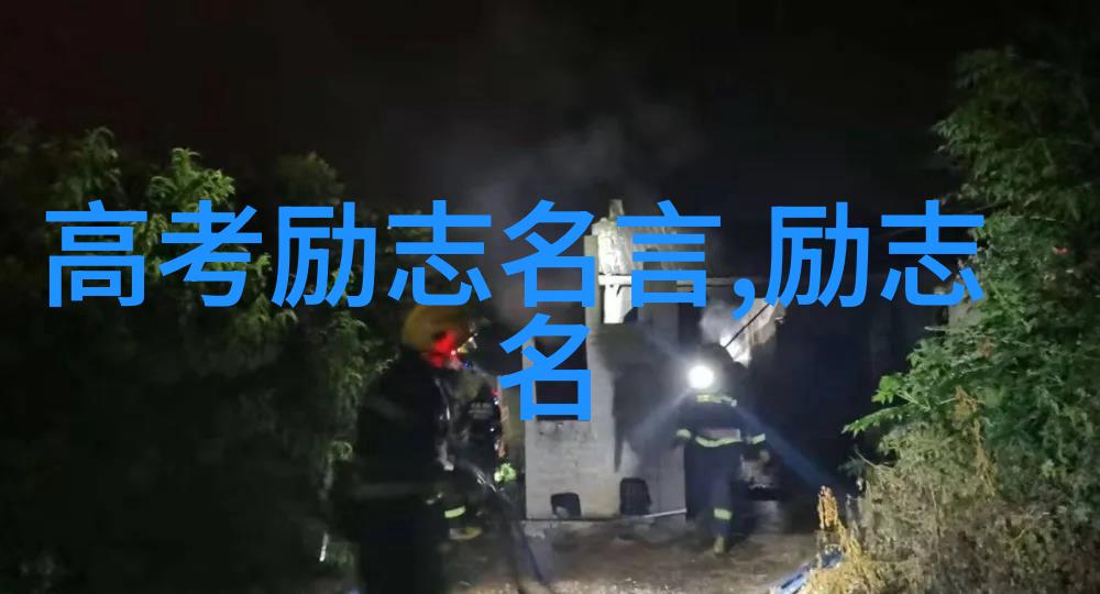 激励之网探索成功人生故事背后的学术深度