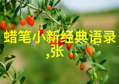爱情公寓里的笑声与泪水经典语录的幽默回放