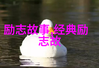花容月貌下的复仇计划高淮事件回顾