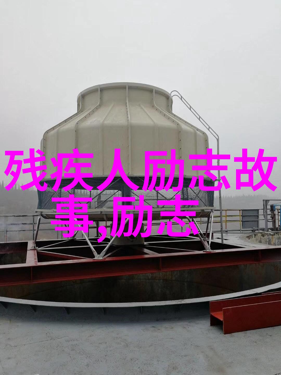 残疾人逆袭之星勇敢追梦的不凡力量