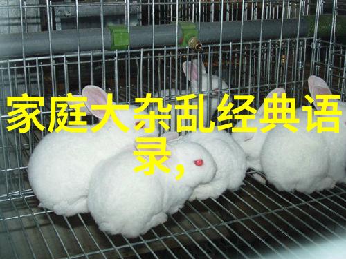 坚韧的心脏誓言与挑战
