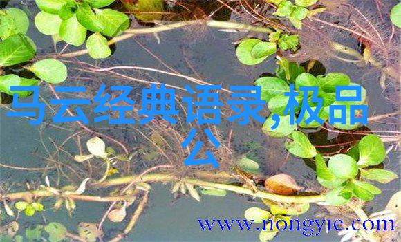 励志名人名言-奥普拉温弗瑞的成功之谜