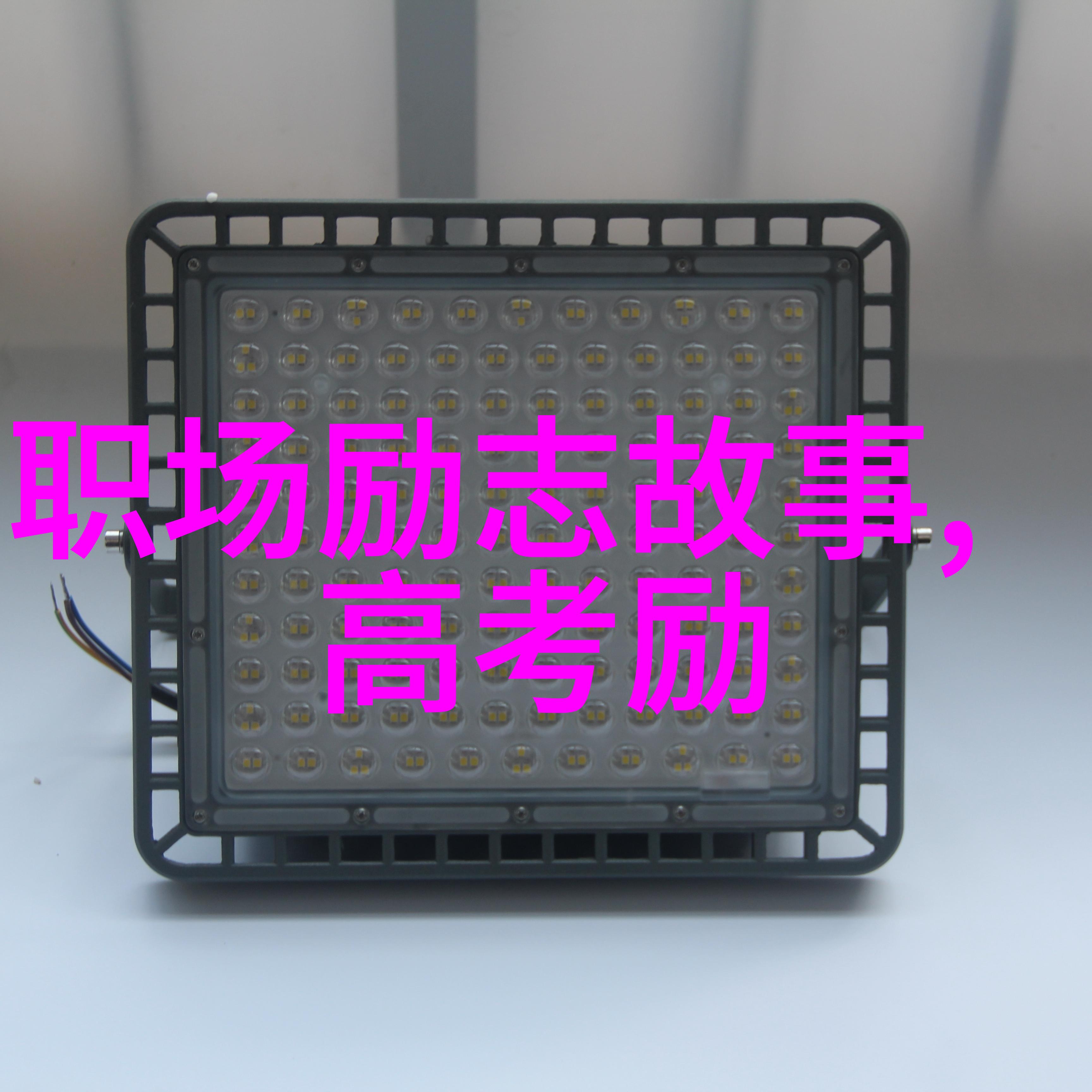 中外名人的读书故事天赋与努力的对话