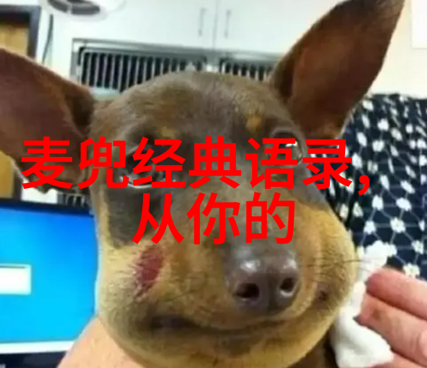 中国伟人的励志故事演员王娇的逆袭传奇